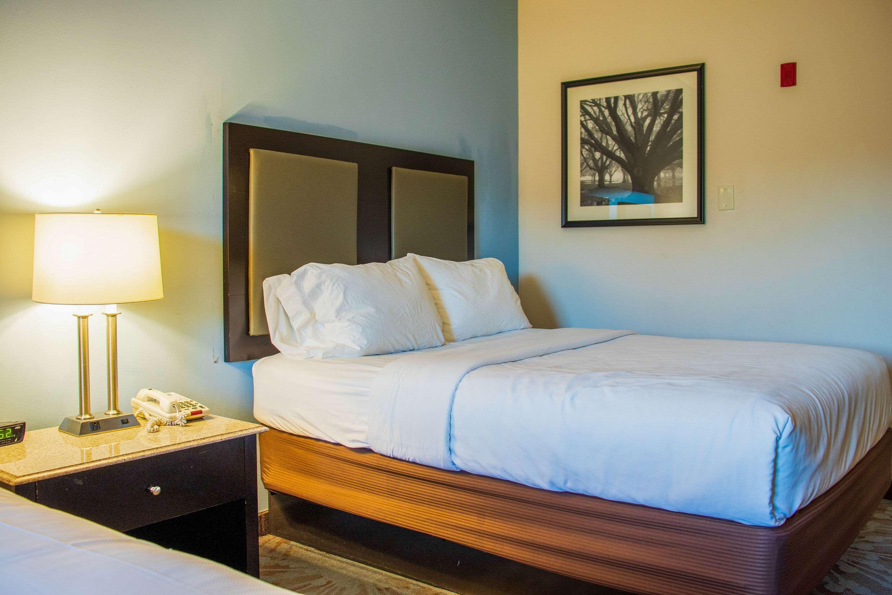 Comfort Inn & Suites Plainville-Foxboro Εξωτερικό φωτογραφία